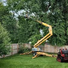 Artificial Turf Installation in Van Horn, TX